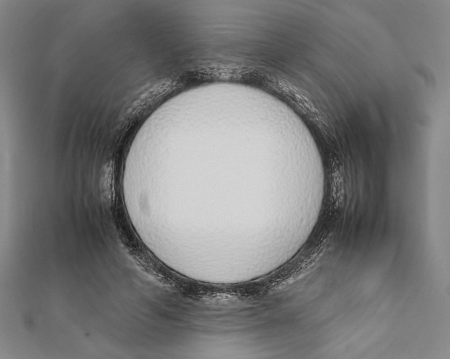 X0000111780594200908201111
