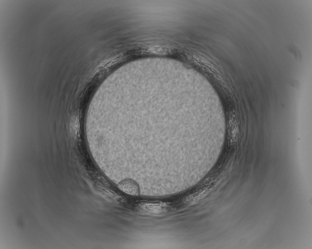 X0000111780595200908201111