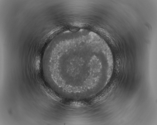 X0000111780596200908201111