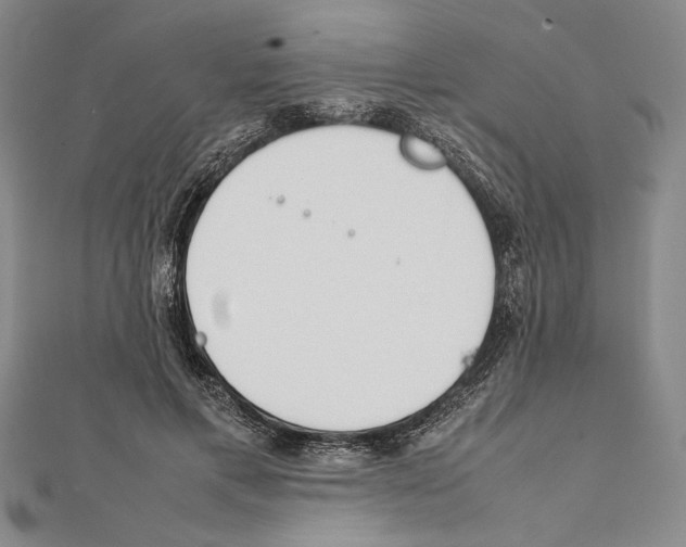 X0000111780597200908201111