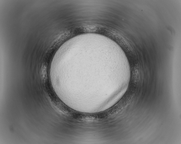 X0000111780598200908201111