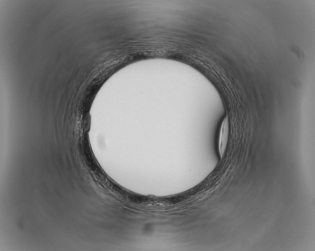 X0000111780599200908201111