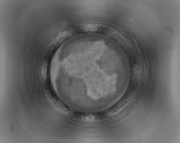 X0000111780600200908201111