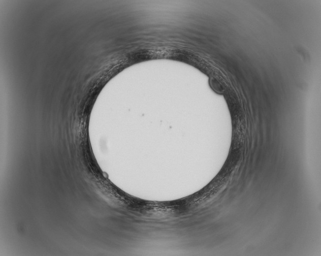 X0000111780601200908201111