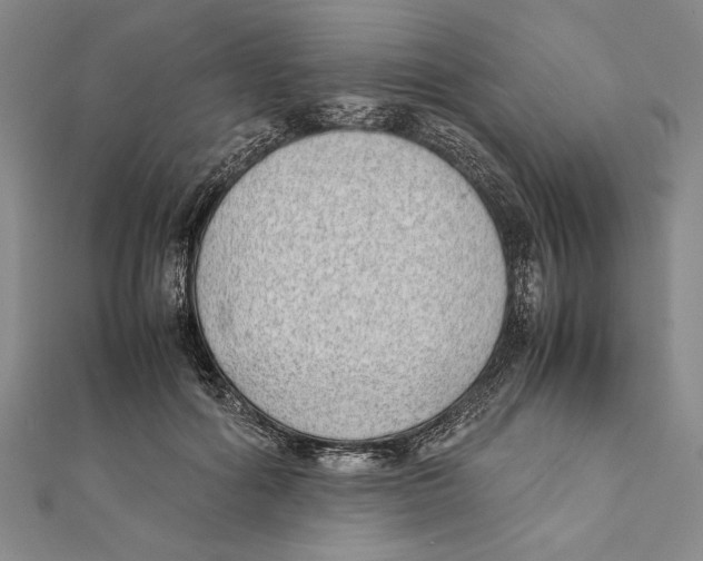 X0000111780602200908201111