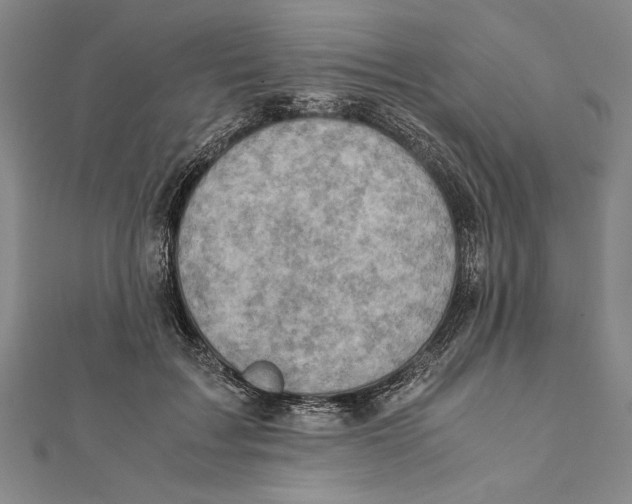 X0000111780603200908201111
