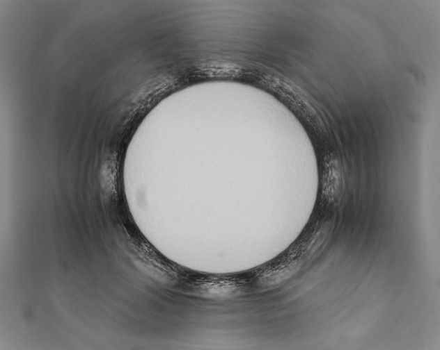 X0000111780604200908201111
