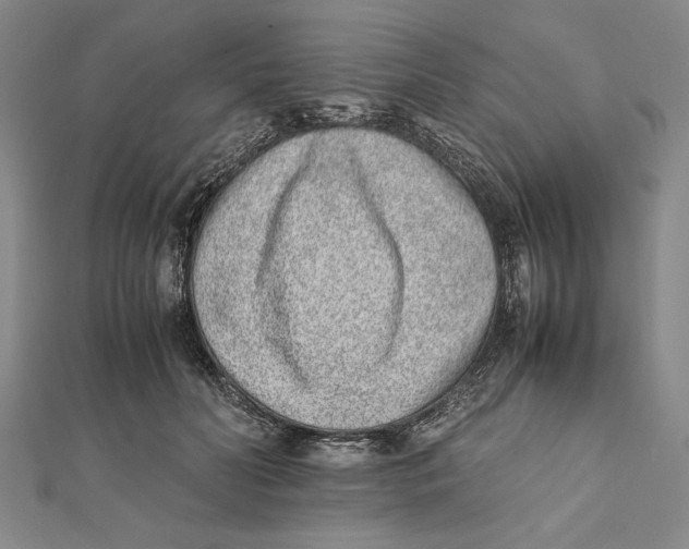 X0000111780606200908201111