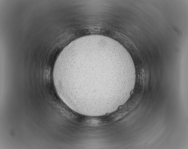 X0000111780610200908201111