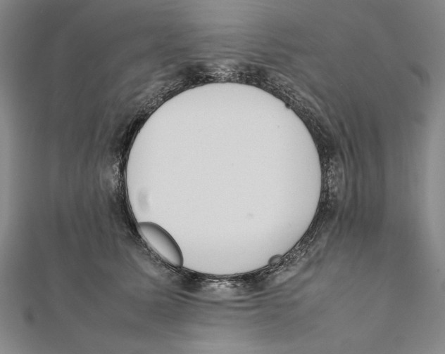 X0000111780611200908201111