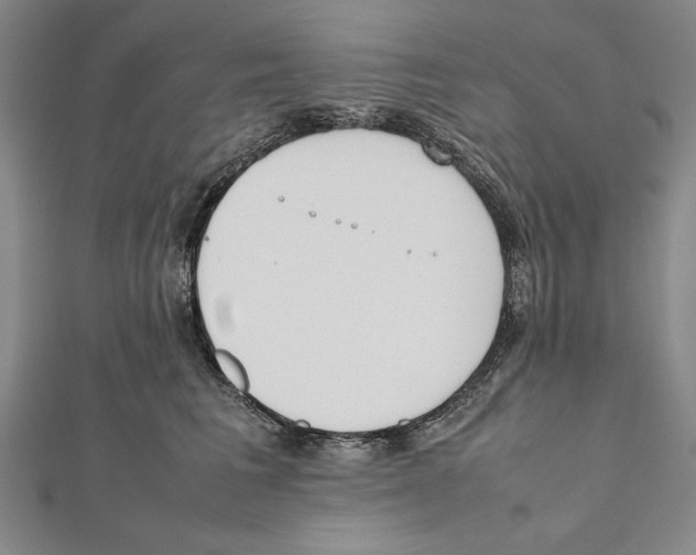 X0000111780613200908201111
