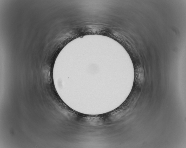 X0000111780615200908201111