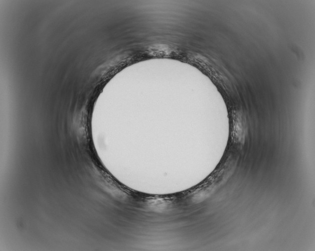 X0000111780616200908201111