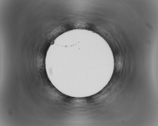 X0000111780619200908201111