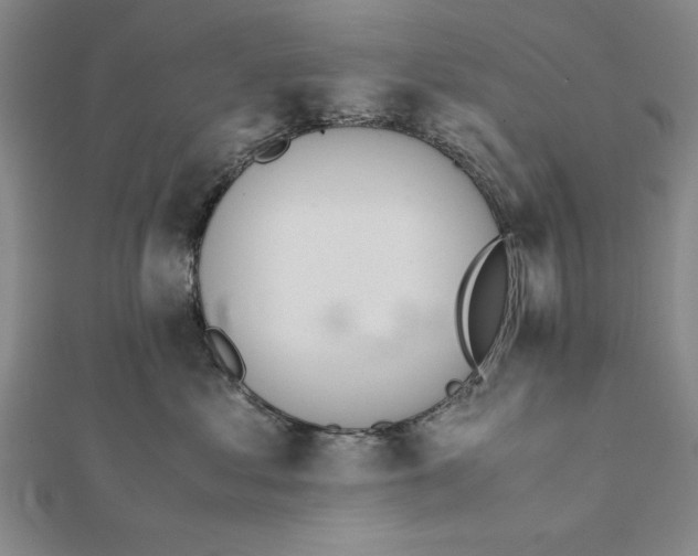 X0000111780621200908201111