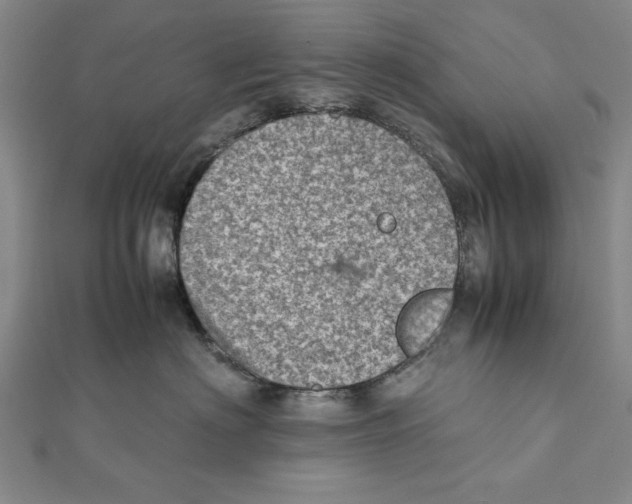 X0000111780622200908201111