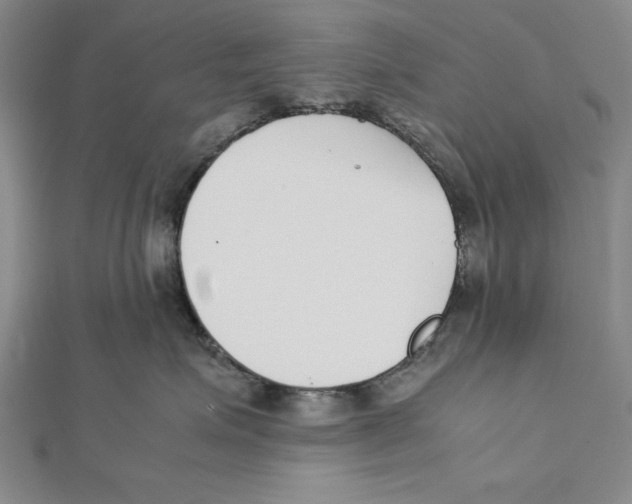 X0000111780623200908201111