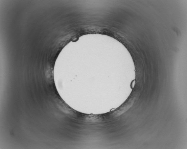 X0000111780624200908201111