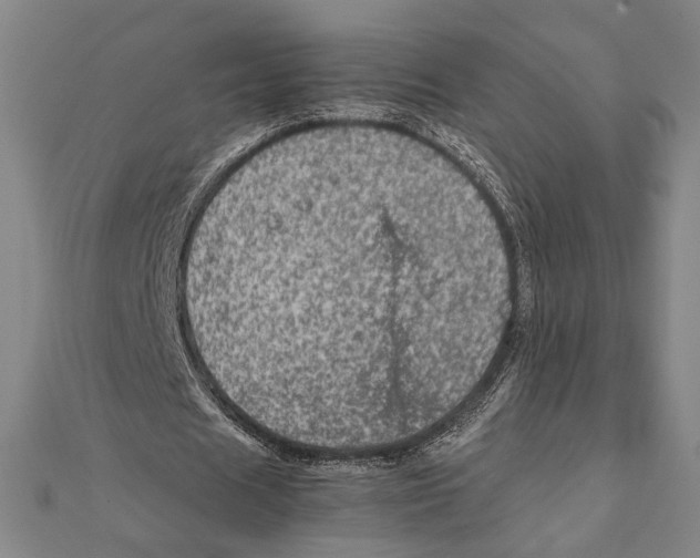 X0000111780625200908201110