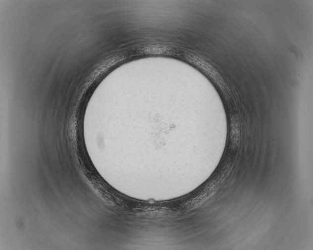 X0000111780626200908201111