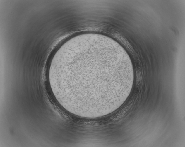 X0000111780628200908201111