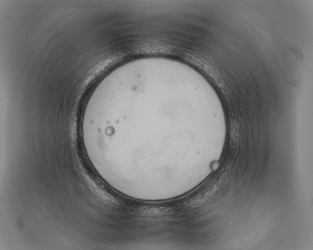 X0000111780629200908201111