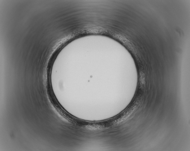 X0000111780630200908201111