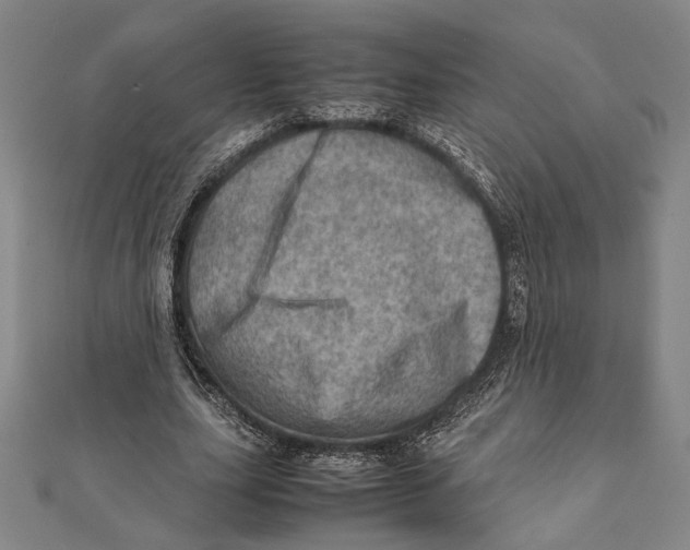 X0000111780631200908201111