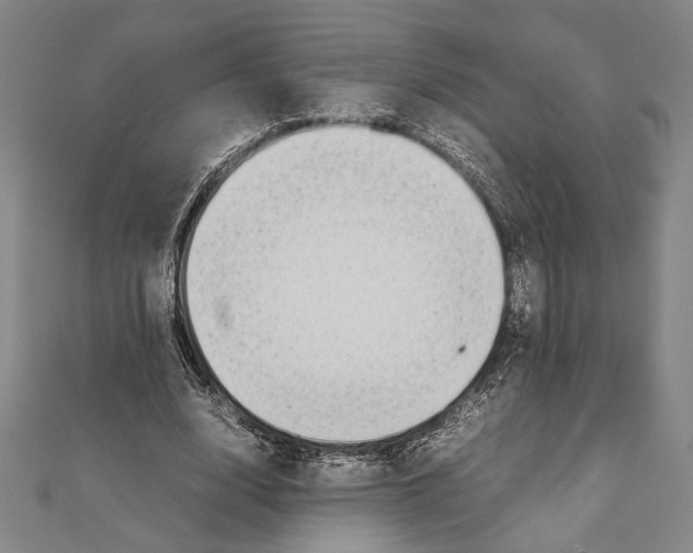 X0000111780632200908201111