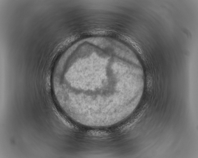 X0000111780633200908201111