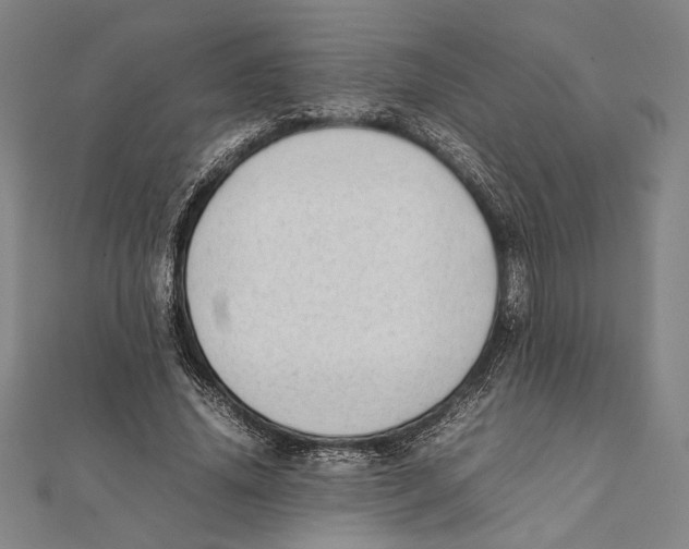 X0000111780636200908201111