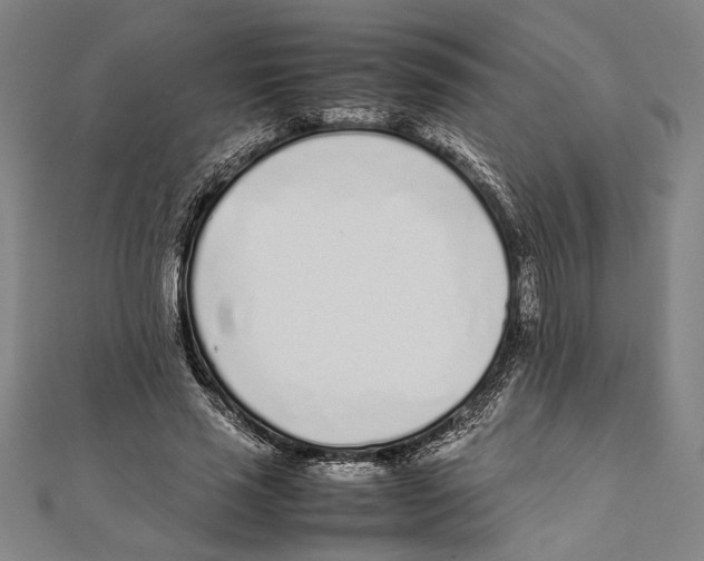 X0000111780637200908201111