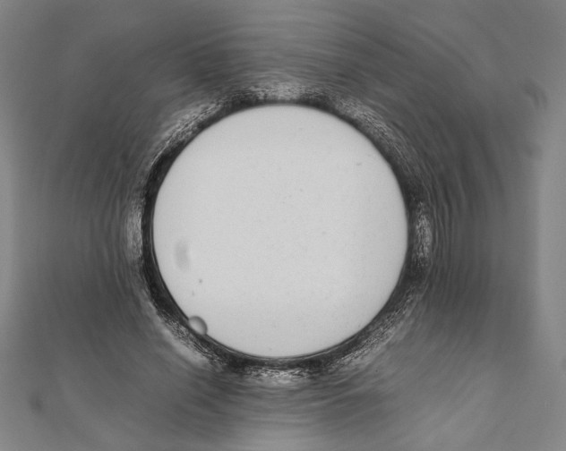 X0000111780638200908201111