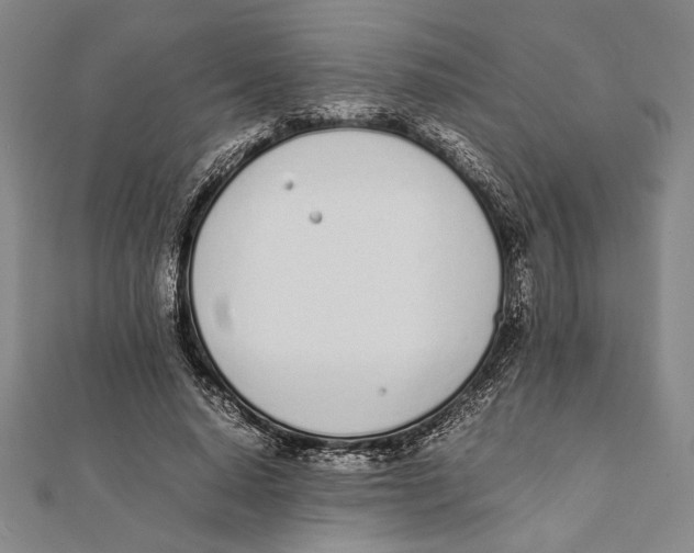 X0000111780640200908201111
