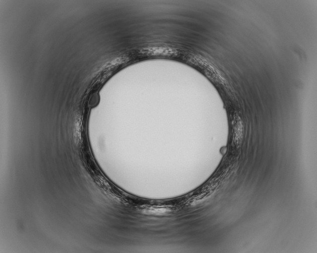 X0000111780643200908201111