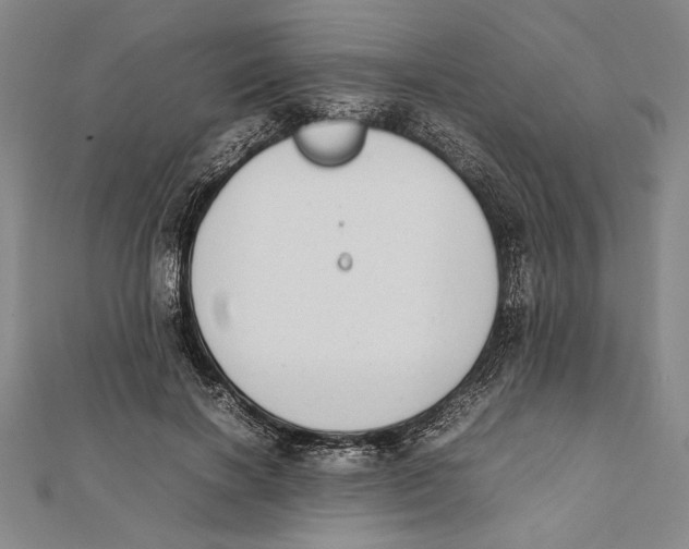 X0000111780646200908201111