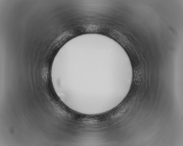 X0000111780648200908201111