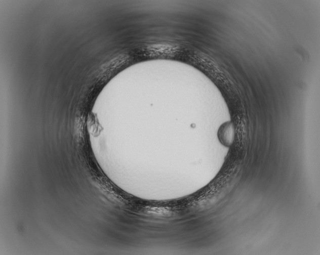 X0000111780649200908201111