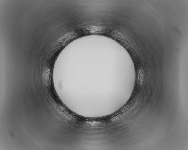 X0000111780650200908201111
