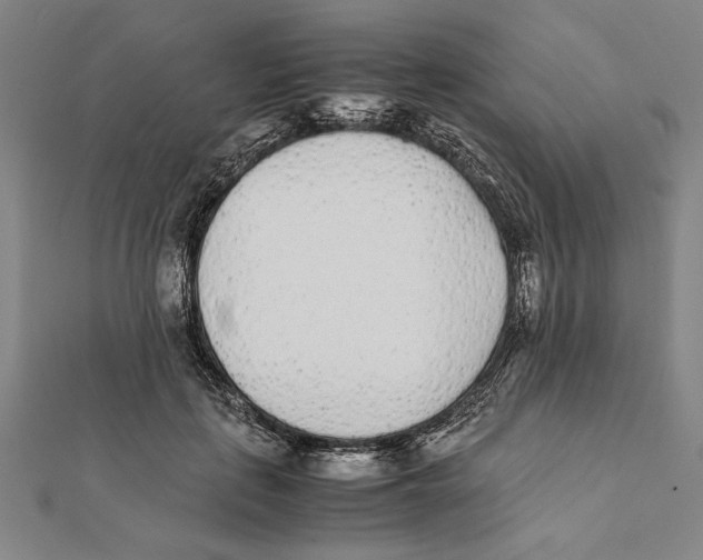 X0000111780651200908201111