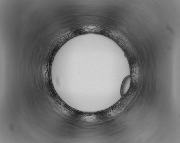 X0000111780653200908201111