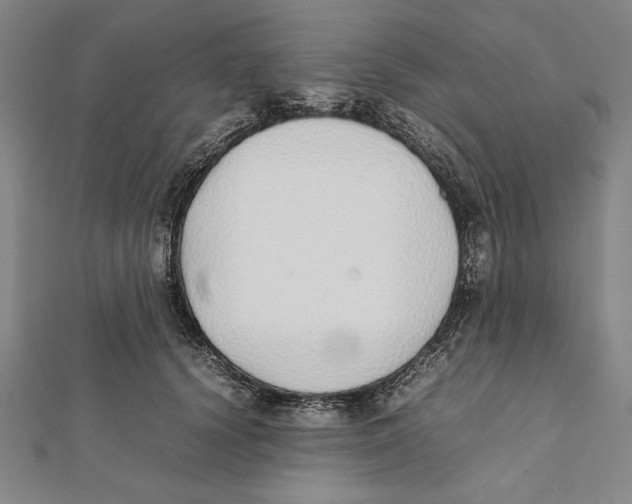 X0000111780656200908201111
