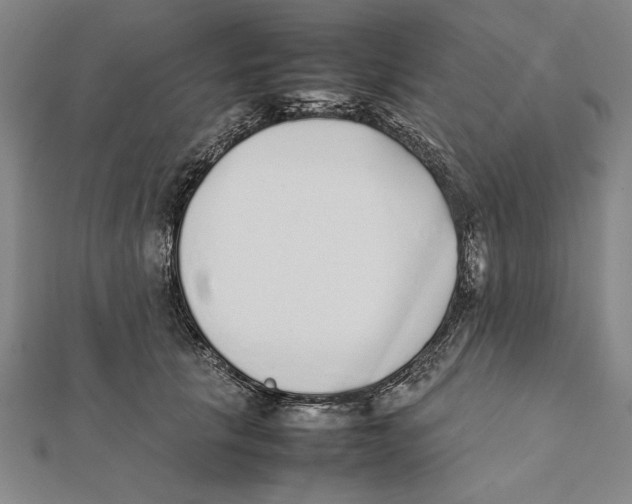 X0000111780657200908201111