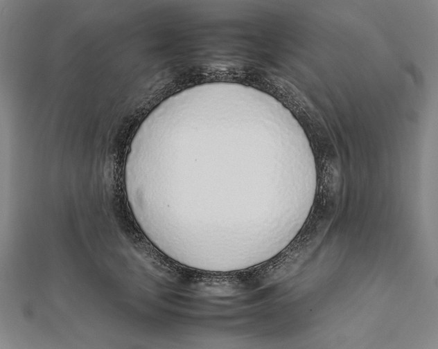 X0000111780659200908201111