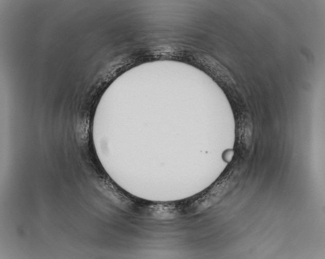 X0000111780660200908201111