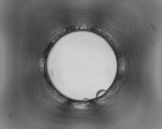 X0000111780661200908201111