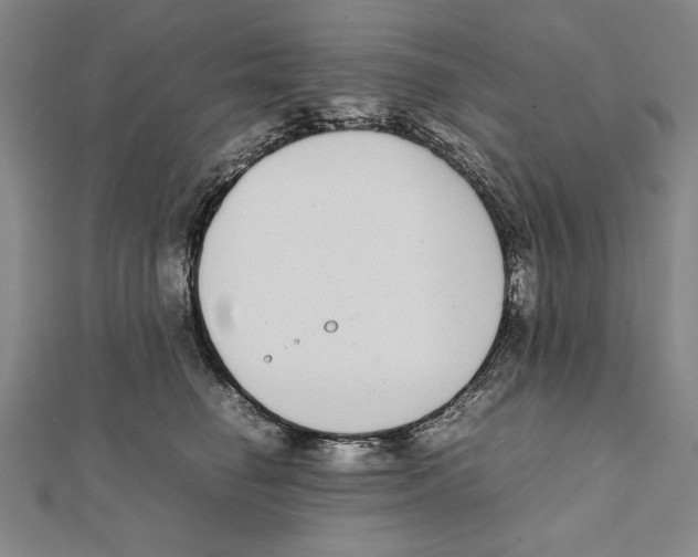 X0000111780662200908201111