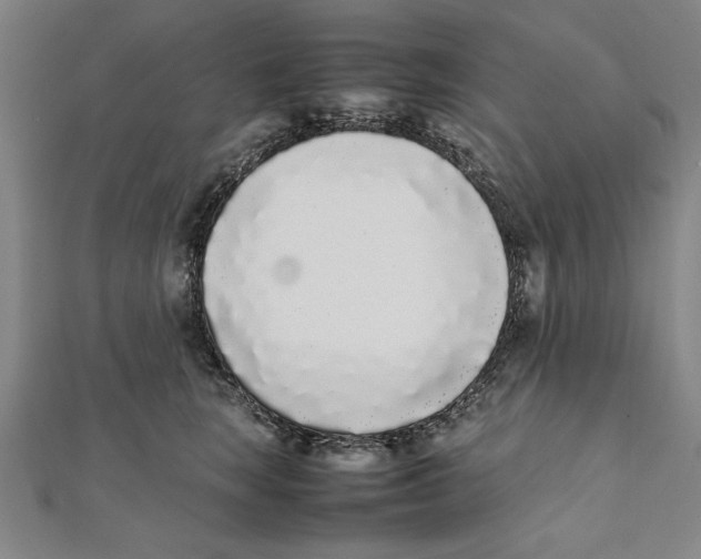 X0000111780663200908201111