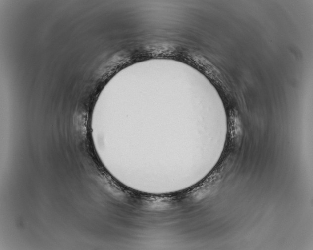 X0000111780664200908201111