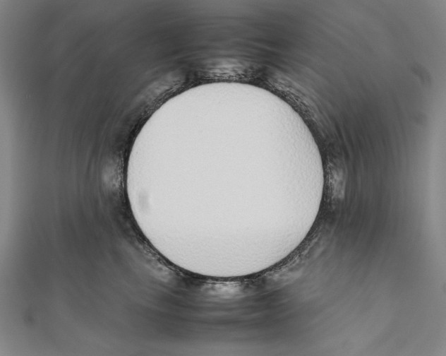 X0000111780665200908201111